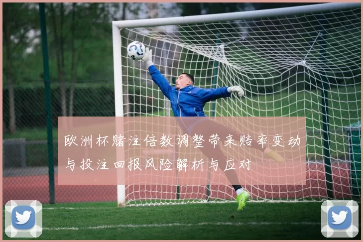 欧洲杯赌注倍数调整带来赔率变动与投注回报风险解析与应对