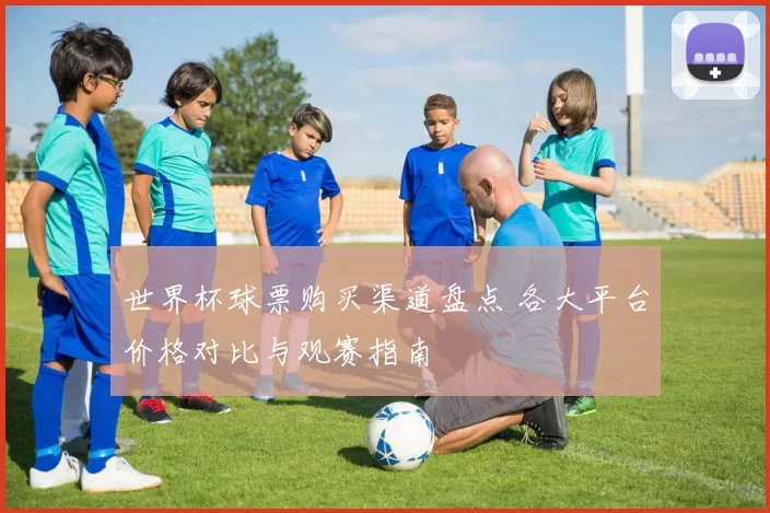世界杯球票购买渠道盘点 各大平台价格对比与观赛指南