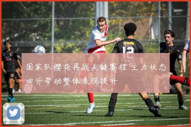 国家队樱花再战关键赛程 主力状态回升带动整体表现提升