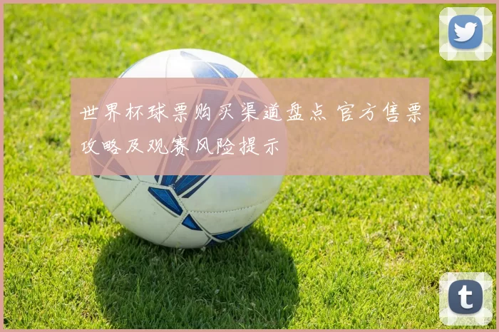 世界杯球票购买渠道盘点 官方售票攻略及观赛风险提示
